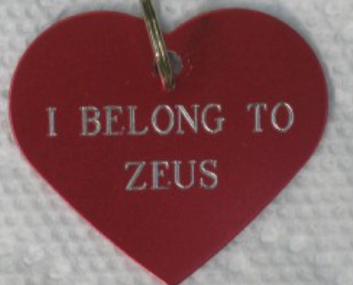 Happy Valentine's Day from Zeus