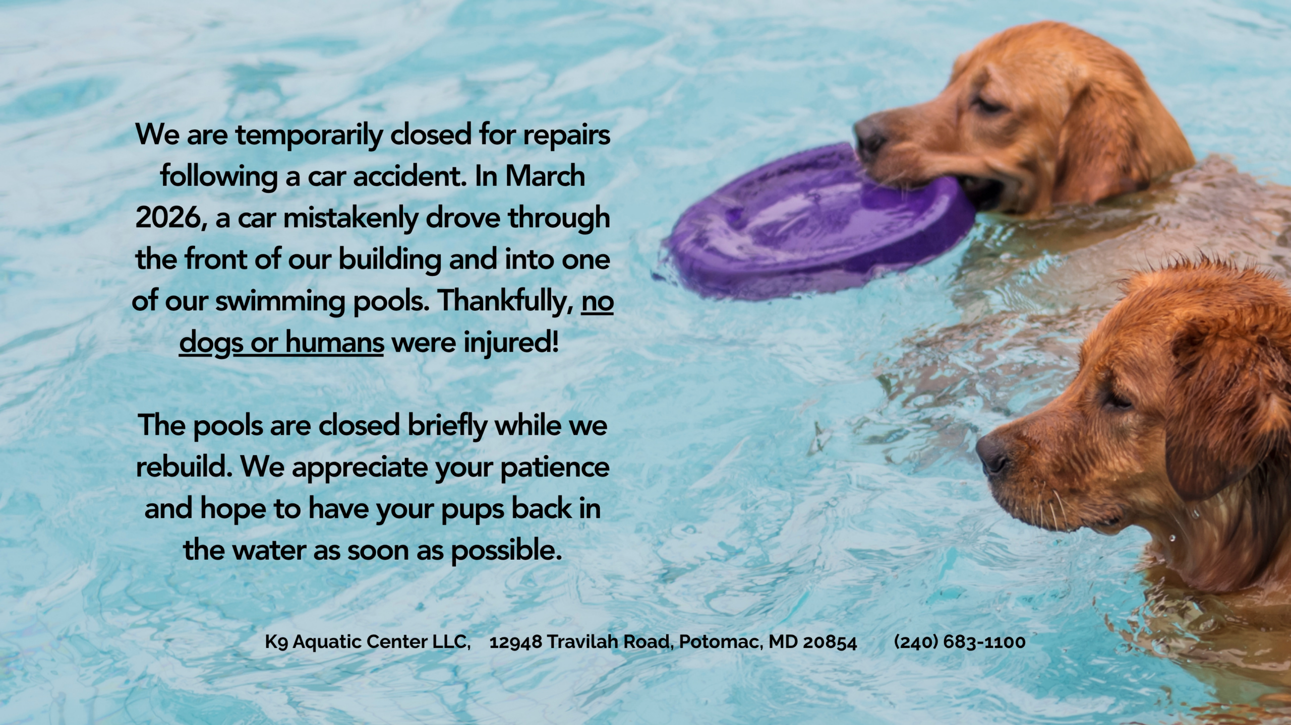 K9 Aquatic and Wellness - Dog Pool for Health and Wellbeing